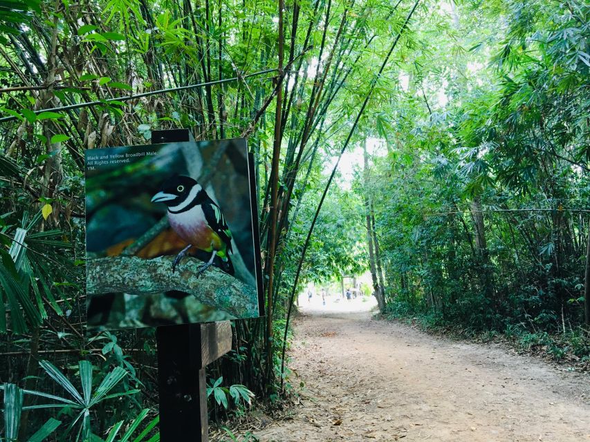 Krabi: Emerald Pool and Hot Springs Waterfall Half-Day Trip - Who will enjoy this outing most