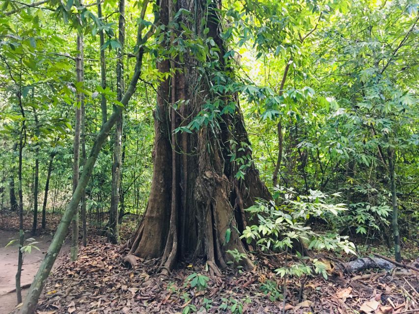Krabi: Emerald Pool and Hot Springs Waterfall Half-Day Trip - Simple ways to make the day better
