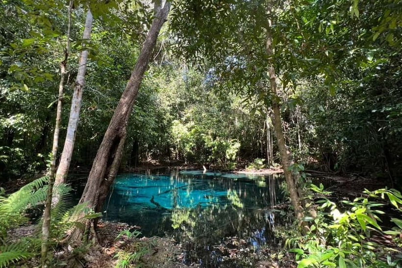 Krabi: Emerald Pool, Hot Springs, and Kayaking Tour - Price, pickup, and group choices
