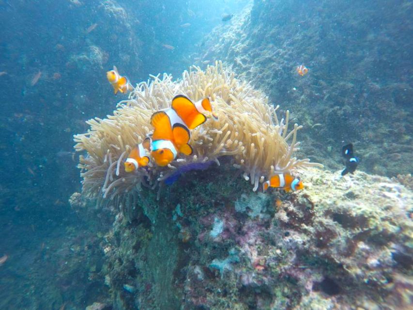 Krabi: Freediving and Snorkeling at Yawasam and Talu Island - The return past Railay Peninsula