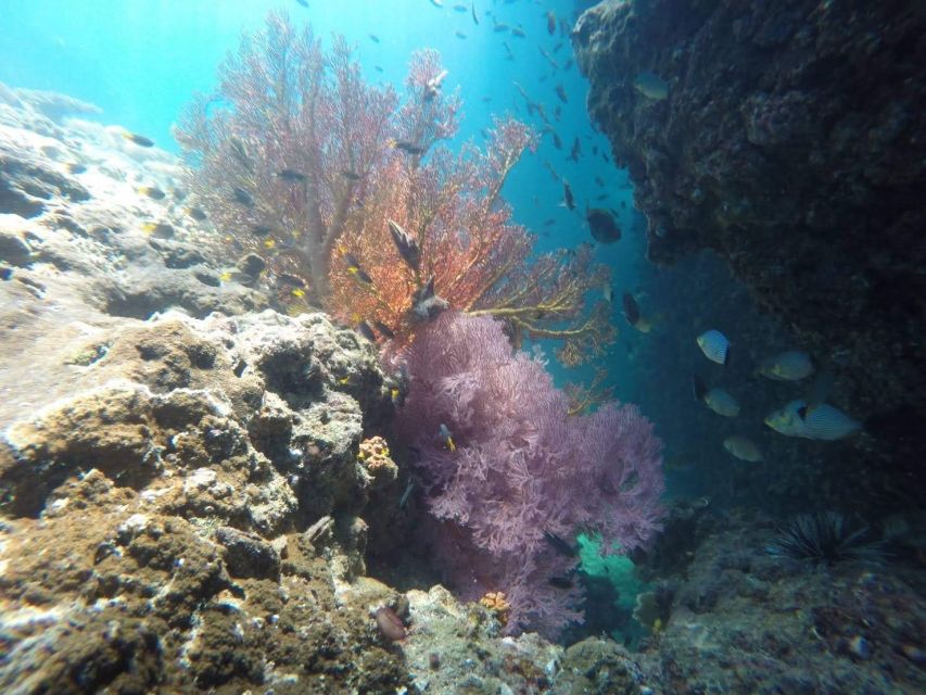 Krabi: Freediving and Snorkeling at Yawasam and Talu Island - Guide attention and group safety