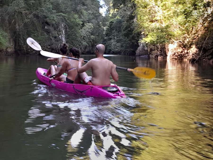 Krabi: Half-Day Kayak Adventure at Ao Thalane - Wildlife along the waterway