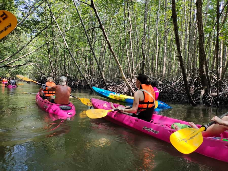 Krabi: Half-Day Kayak Adventure at Ao Thalane - From Aonang to the Ao Thalane pier