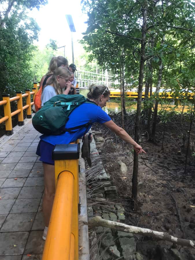 Krabi: Half-Day Mangrove Boat Trip And Khao Khanap Nam Cave - My verdict on the mangroves and cave