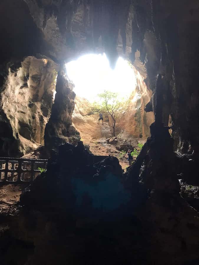 Krabi: Half-Day Mangrove Boat Trip And Khao Khanap Nam Cave - What this Krabi half-day trip actually offers