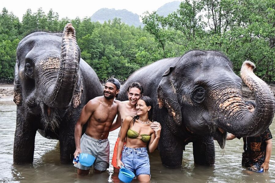 Krabi: Highlights Tour with Krabi Elephant Shelter - What the Krabi Elephant Shelter is trying to provide