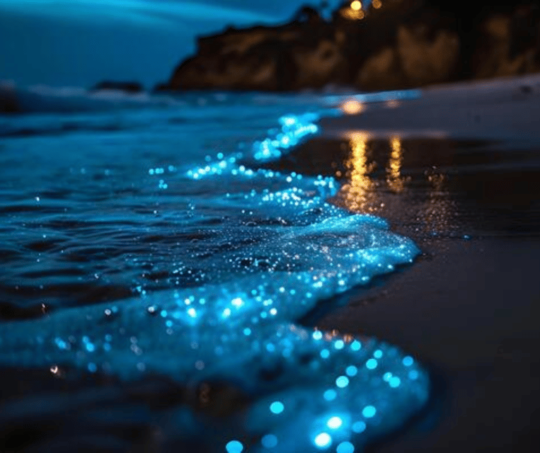 Krabi: Hong Islands Sunset, Bioluminescent Plankton and BBQ - Ko Pak Bia and the beach BBQ