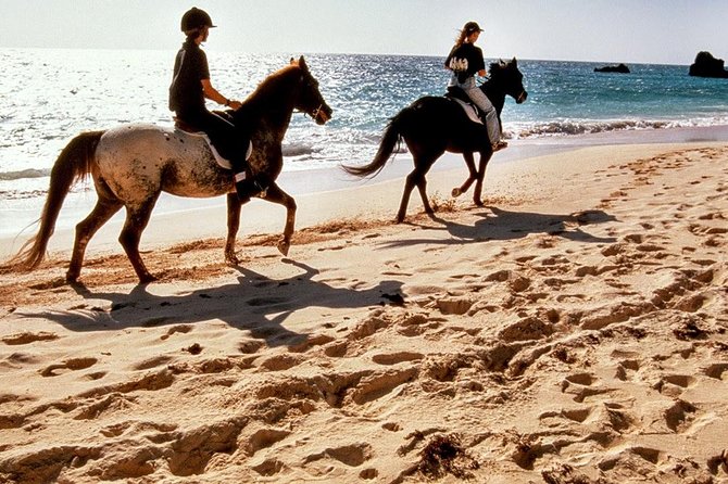 Krabi Horse Riding at Ao Nam Mao Beach - Key points before you book