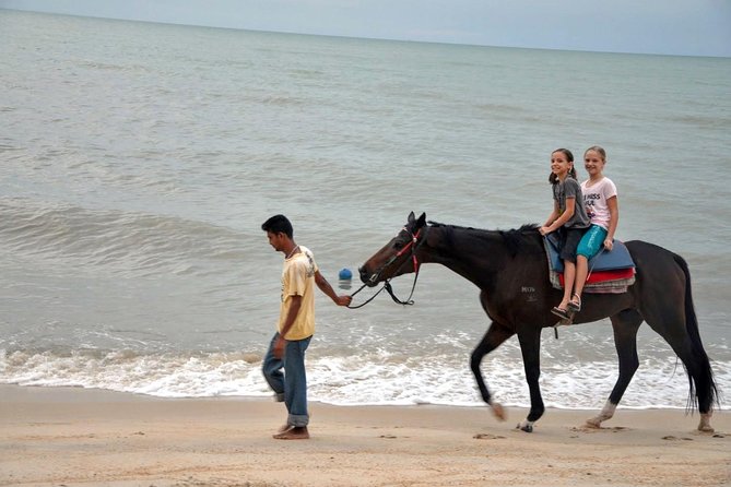 Krabi Horse Riding at Ao Nam Mao Beach - Horses, safety, and animal welfare