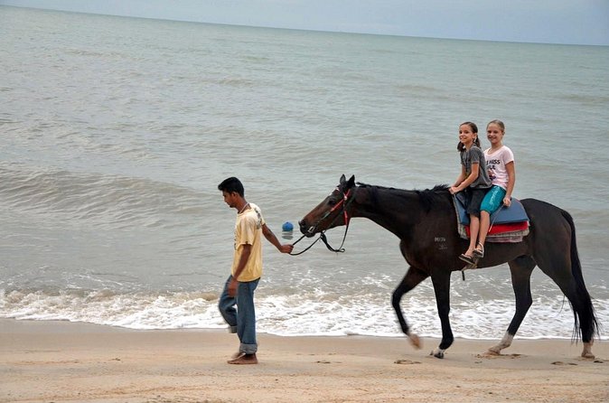 Krabi Horse Riding at Ao Nam Mao Beach - The guides and the pace of the outing