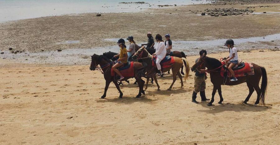 Krabi: Horseback Riding on the Beach - From Aonang hotel to the Ao Nam Mao stables