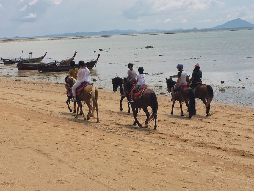 Krabi: Horseback Riding on the Beach - Railay Bay and Phi Phi Island views