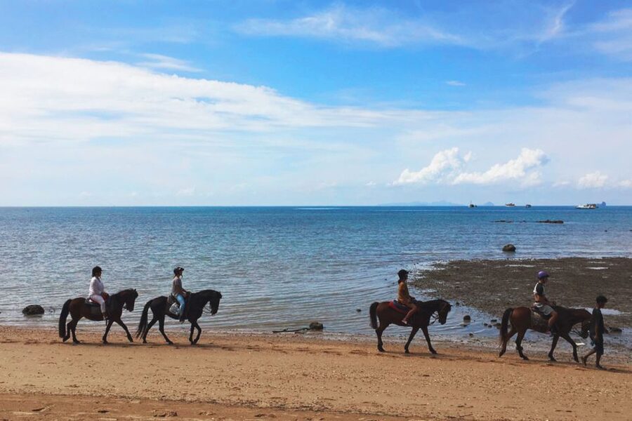 Krabi: Horseback Riding on the Beach - The 25-million-year-old fossil beach
