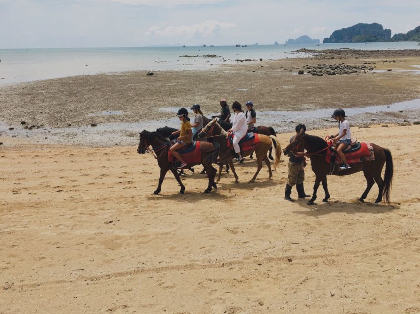 Krabi: Horseback Riding on the Beach - Who will enjoy this ride most?