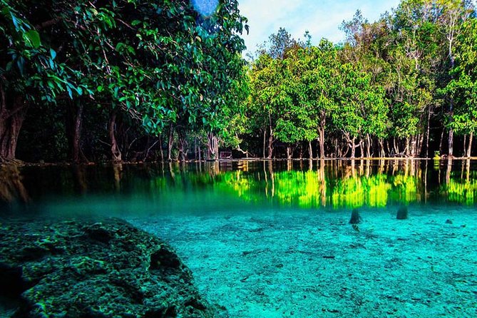 Krabi Jungle Tour with ATV Riding - A full day from Krabi to the jungle