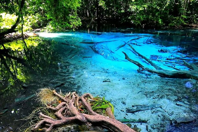 Krabi Jungle Tour with ATV Riding - Walking the rainforest to the Emerald Pool