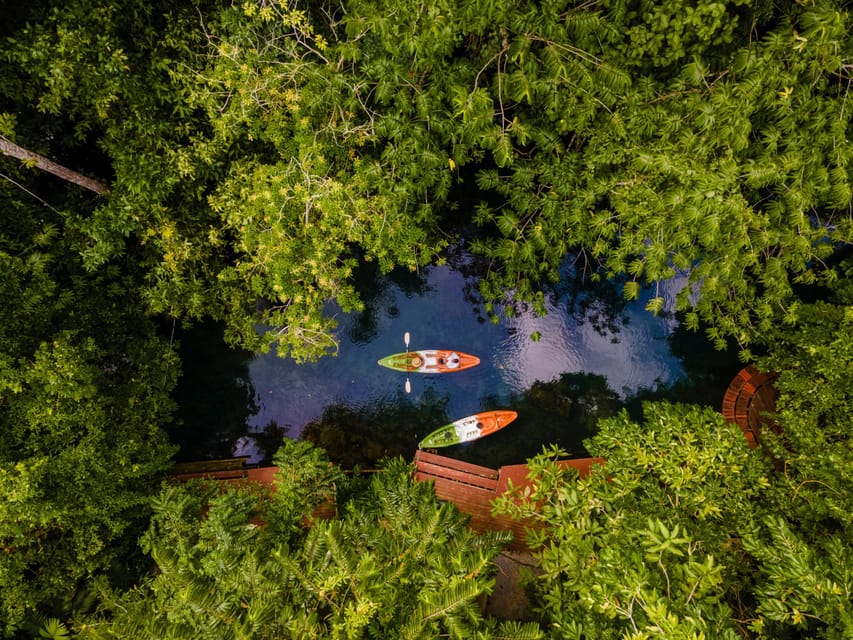Krabi: Kayak Adventure through Ao Thalane Mangrove Forest - My Verdict: A Worthwhile Krabi Nature Day