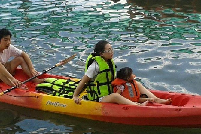 Krabi kayak at Ao Thalane - The mangrove forest and its wildlife