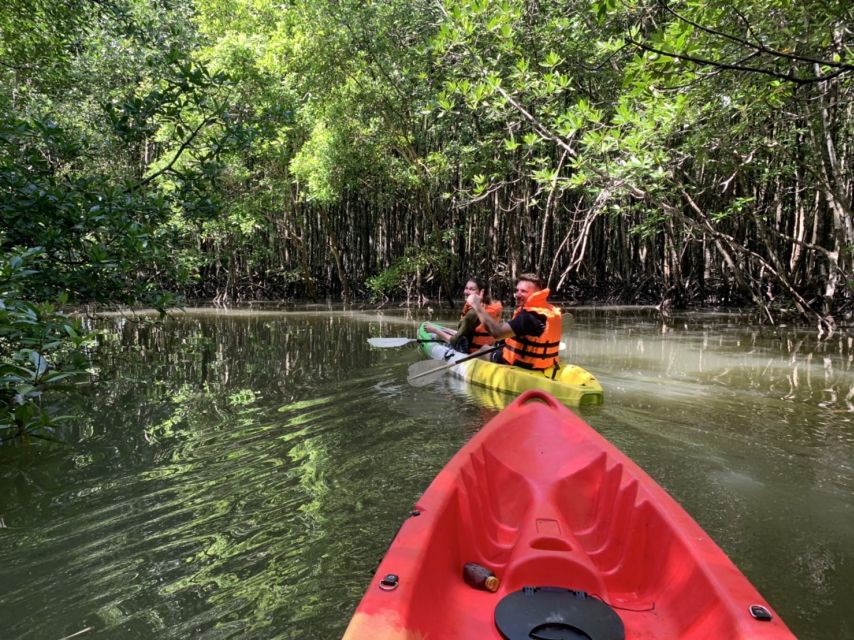 Krabi: Kayak in Mangrove Forest with Meal Aonang - Key Points Before You Book