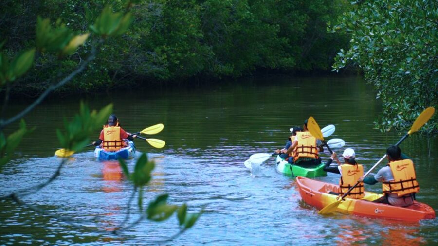Krabi: Kayak in Mangrove Forest with Meal Aonang - Getting Ready for the Mangroves