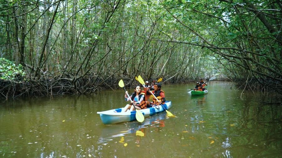 Krabi: Kayak in Mangrove Forest with Meal Aonang - Hotel Pickup and Arrival at Ao Nam Mao