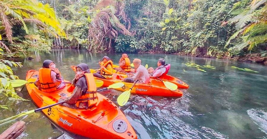 Krabi kayaking and swimming clongrood Tour - Klong Root kayaking at a glance