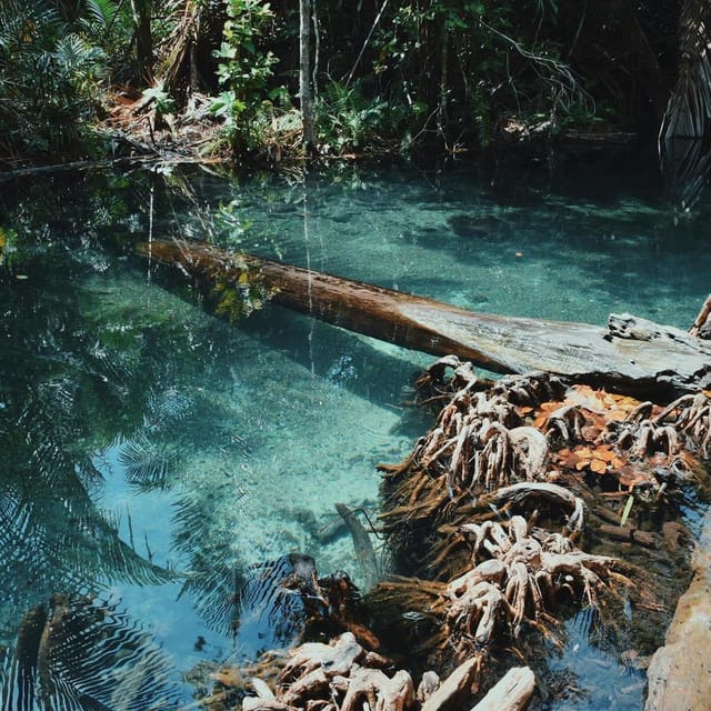 Krabi kayaking and swimming clongrood Tour - Paddling through clear freshwater