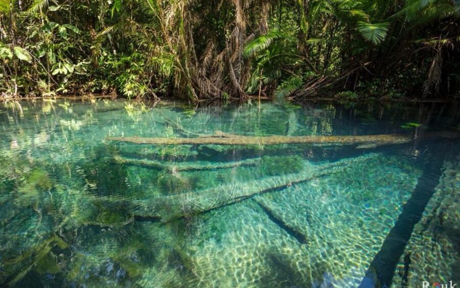 Krabi: Khlong Nam Sai Lagoon with Kayaking & Optional ATV - Paddling 2 kilometers through rainforest