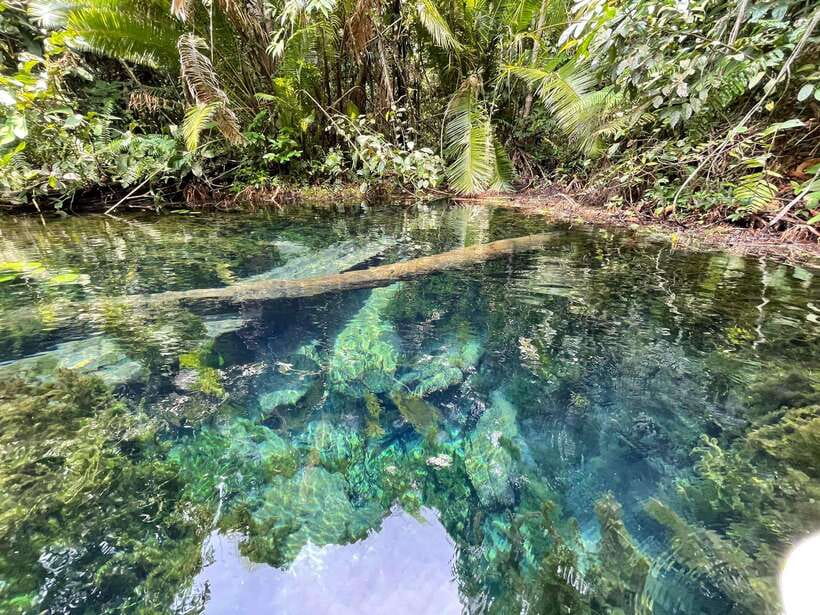 Krabi: Klong Root (Crystal lake) Kayaking tour - Klong Root kayaking at a glance