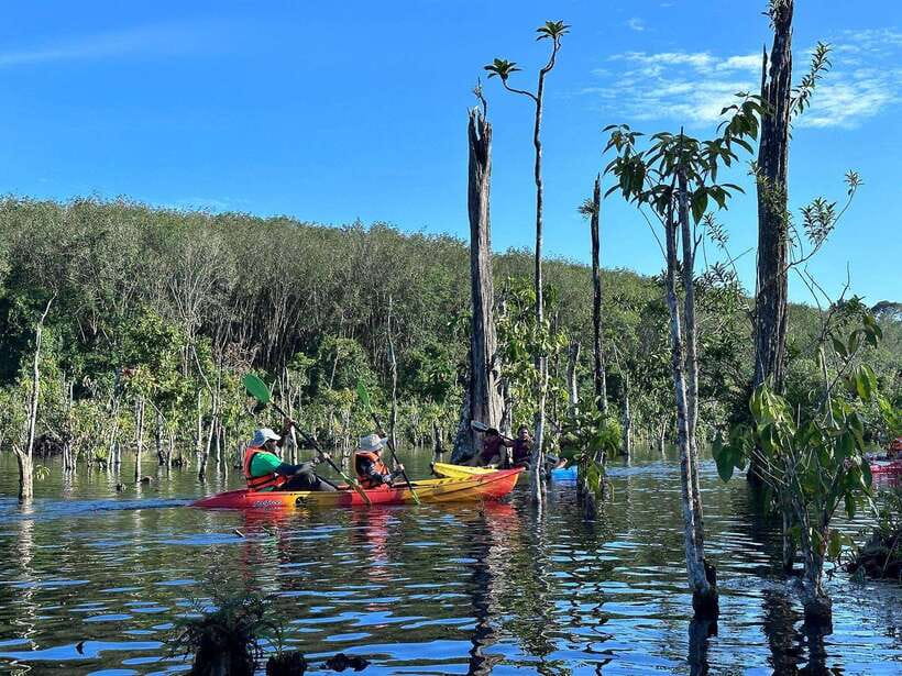 Krabi: Klong Root (Crystal lake) Kayaking tour - Swimming where fish gather
