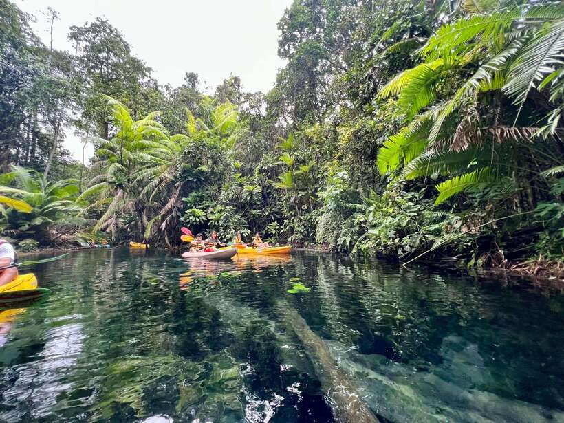 Krabi: Klong Root (Crystal lake) Kayaking tour - Launching onto the clear canal