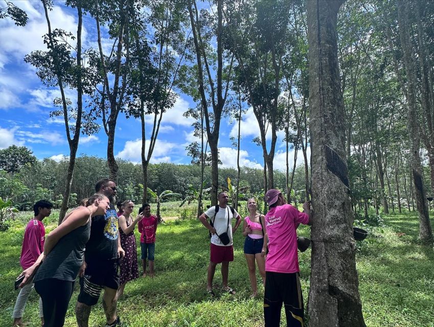Krabi: Klong Root Kayaking Viewpoint,Fish Feeding and more - Kayaking through spring water and swamp forest