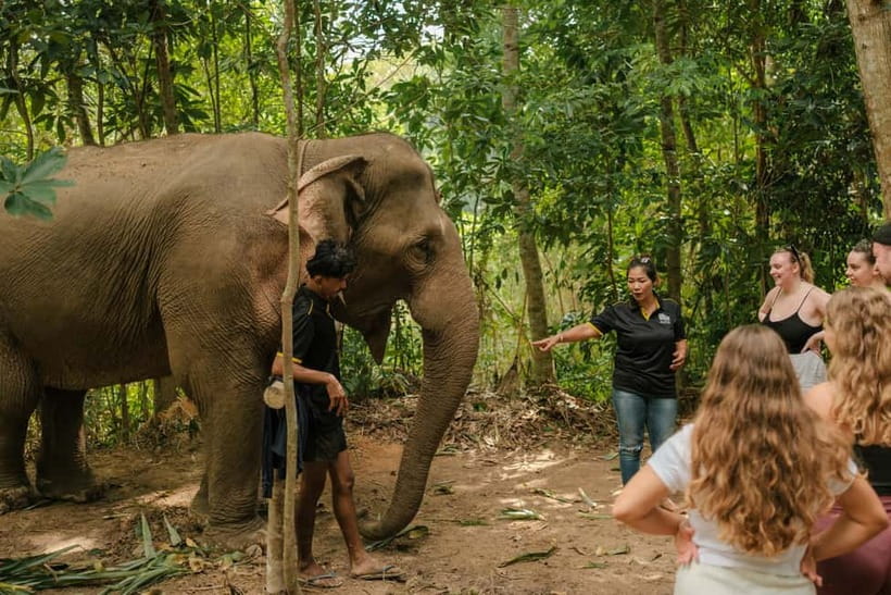 Krabi: Love Elephant Sanctuary Tour - Key points at a glance