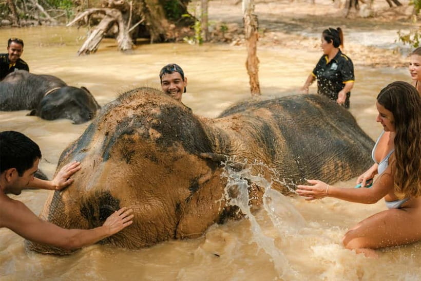 Krabi: Love Elephant Sanctuary Tour - Meeting the elephants and learning their stories
