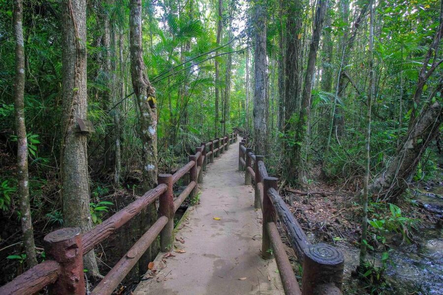 Krabi Outback Explorer with Visit of Tiger Cave Temple - A full day beyond Krabi’s beaches