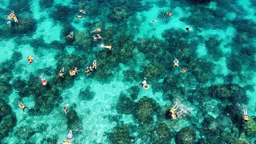 Krabi: Phi Phi and 4 Islands with Snorkeling by Speed Boat - Chicken Island and the famous profile