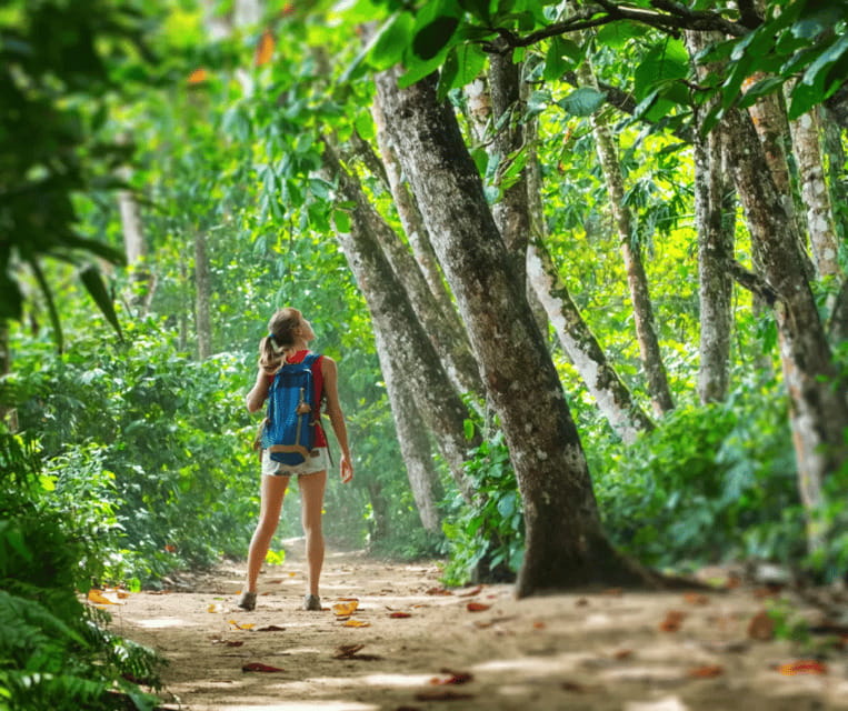 Krabi: Rainforest Jungle Tour with Emerald Pool & Hot Spring - Emerald Pool: turquoise water with a crowd problem