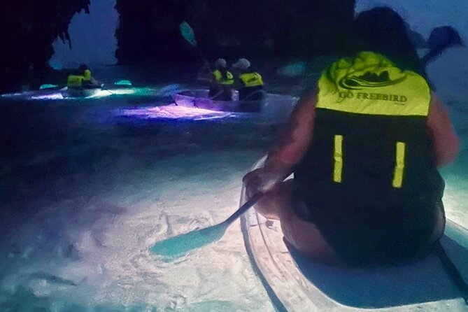 Krabi Stand-Up Paddleboard Illuminated Night Tour - The first 15 minutes: learning the basic SUP skills