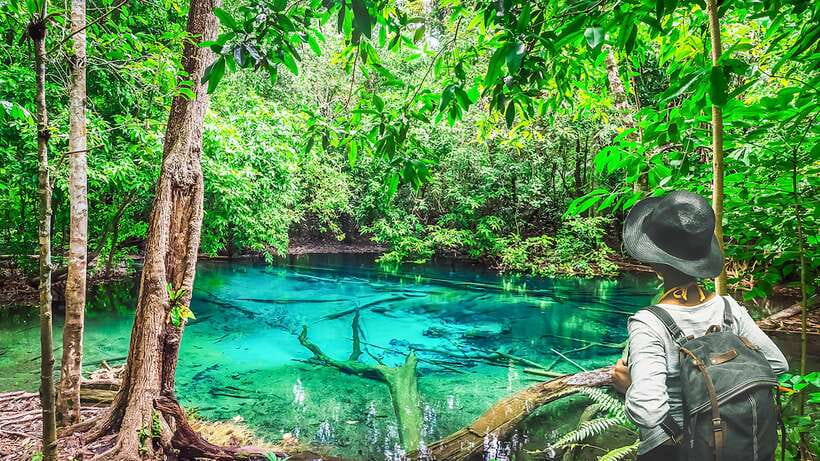 Krabi: Tiger Cave Temple, Emerald Pool and Hot Springs Tour - The quick take: four major sights and one serious climb