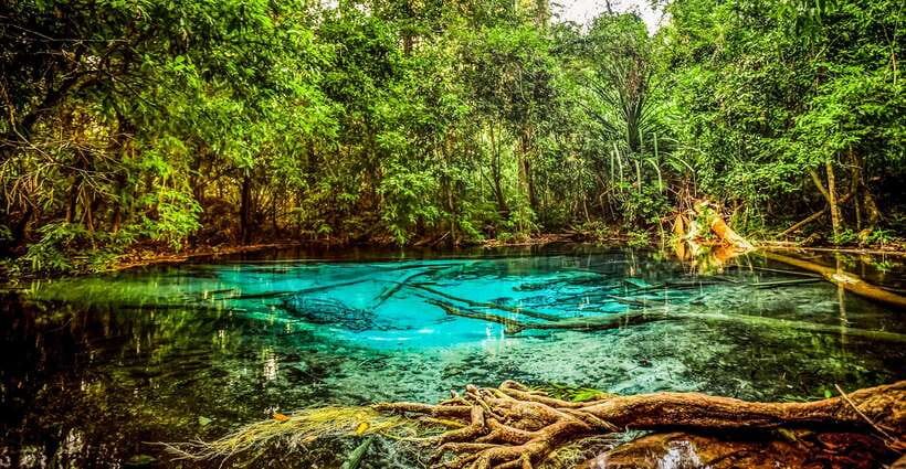 Krabi: Tiger Cave Temple, Emerald Pool and Hot Springs Tour - Lunch near Krabi: keep it simple and carry cash