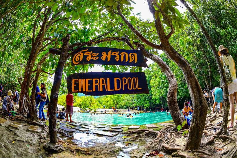 Krabi: Tiger Cave Temple, Emerald Pool and Hot Springs Tour - Transport, group size, and guide quality