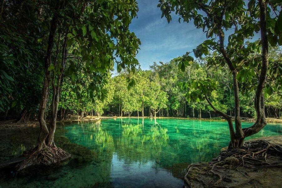Krabi: Tiger Temple, Hot Springs & Crystal Pool Jungle Tour - Key points to know before booking