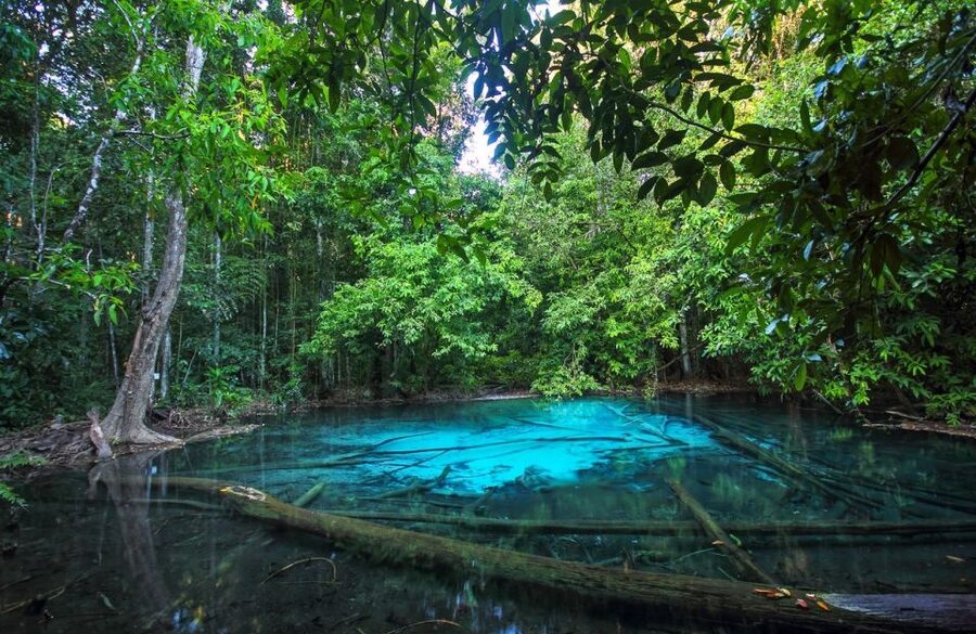 Krabi: Tiger Temple, Hot Springs & Crystal Pool Jungle Tour - Timing, crowds, and the cost of convenience