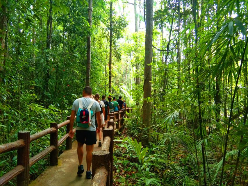 Krabi: Tiger Temple, Hot Springs & Crystal Pool Jungle Tour - Emerald Pool: a swim in the rainforest