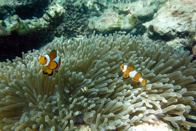 Krabi to James Bond and Hong Islands Offbeat Speedboat Tour - Hong Island and its limestone lagoon