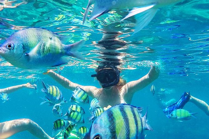 Krabi to Phi Phi Islands by Speedboat - Phi Phi Don for swimming and snorkeling