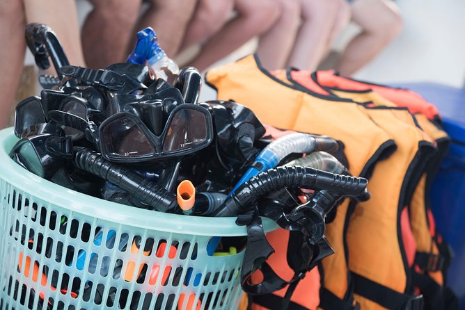 Krabi to Phi Phi Islands by Speedboat - Why the guide matters
