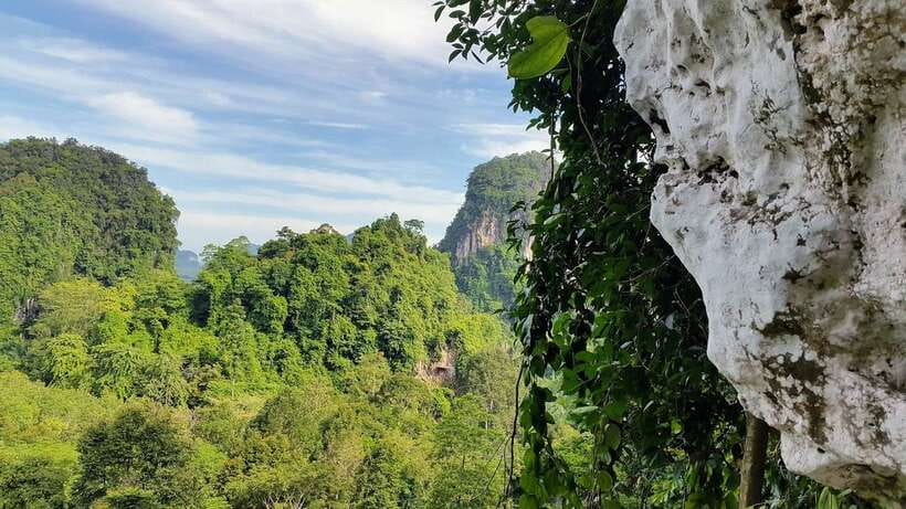 Krabi: Ziplining with Abseiling and Rock Climbing Options - Is $50 good value for Krabi?