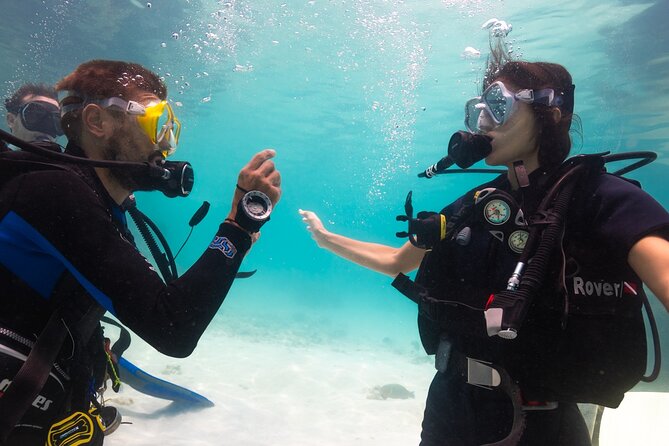 La Bombona Diving Koh Tao Open Water Course - Starting at La Bombona Diving on Sairee Road