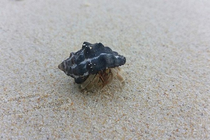 Lanta 4 Islands + Emerald Cave Snorkeling Tour - Emerald Cave: the day’s finest moment